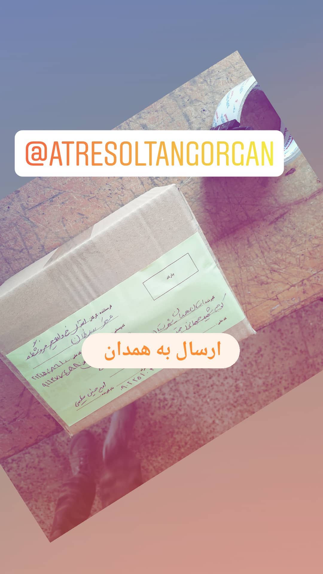 استوری هایلایت برگزیدهها