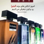 هایلایت ادکلن النترا