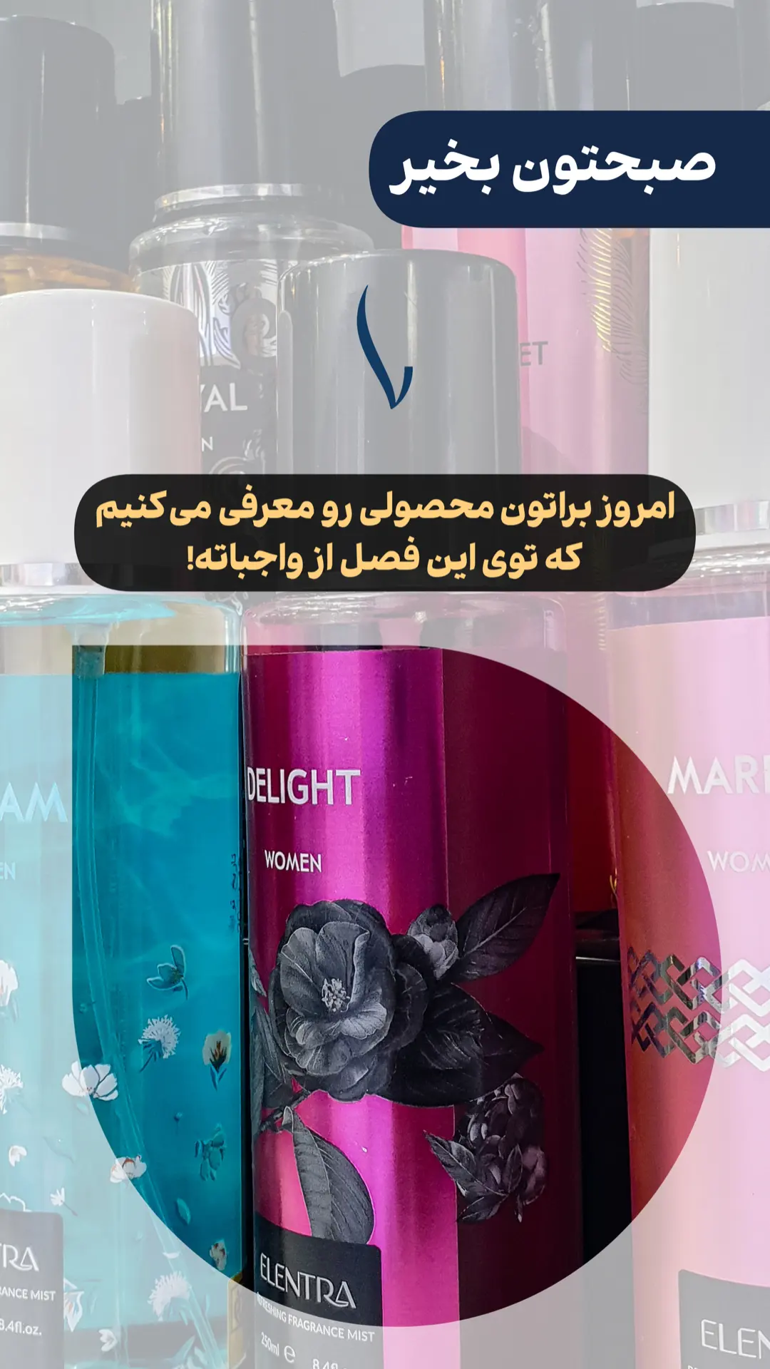 استوری هایلایت بادی اسپلش