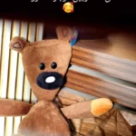 هایلایت Notices