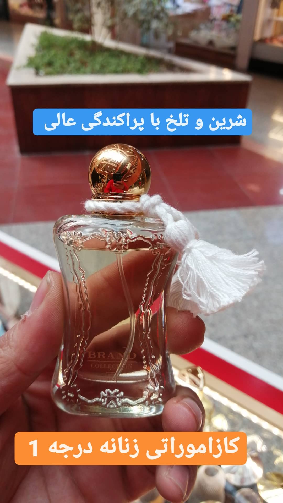 استوری هایلایت مینیاتوری✨