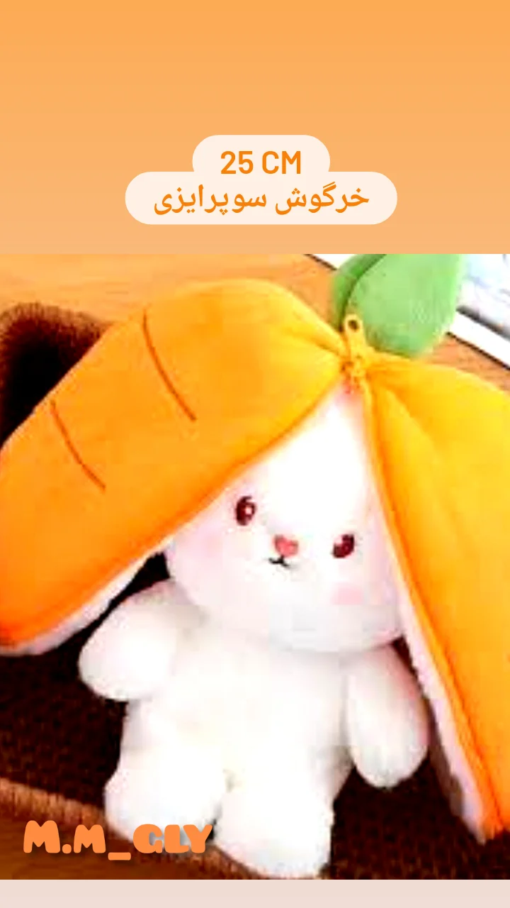 استوری هایلایت Notices