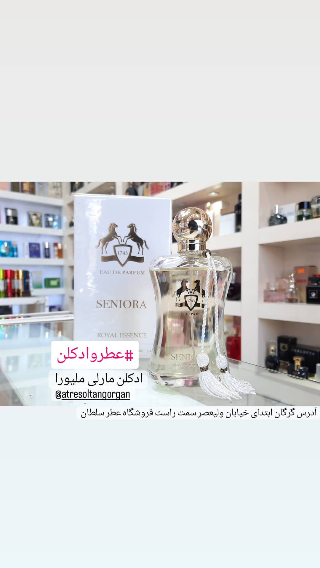 استوری هایلایت 💎برند مارلی💎