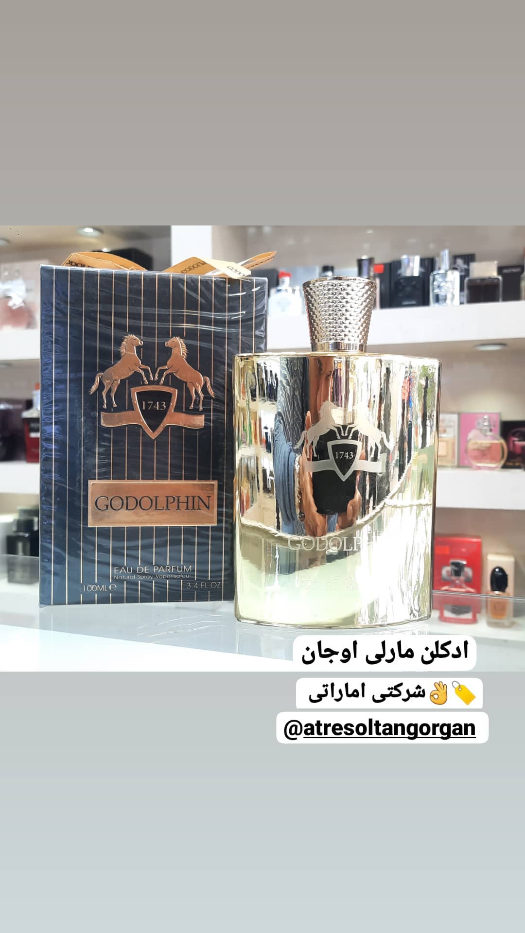 استوری هایلایت 💎برند مارلی💎