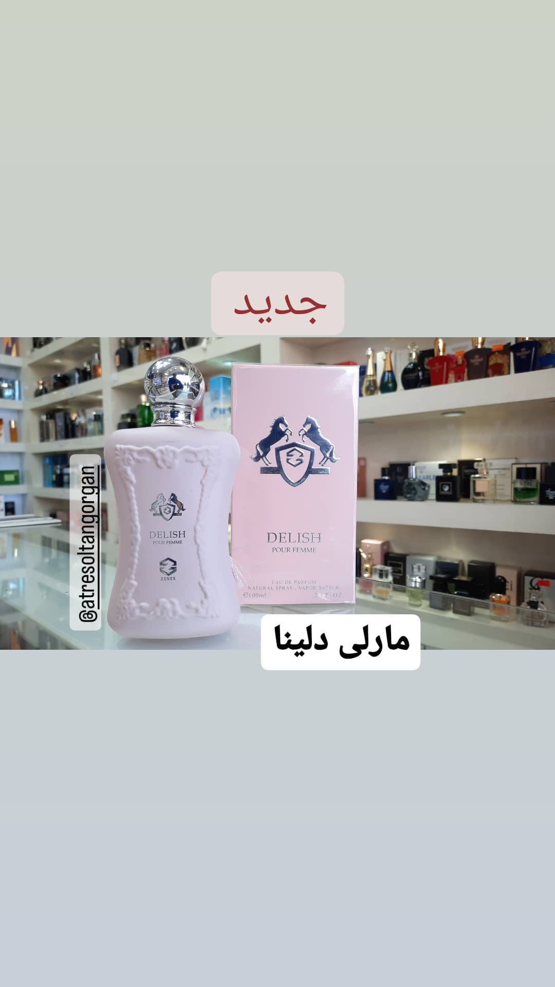 استوری هایلایت 💎برند مارلی💎