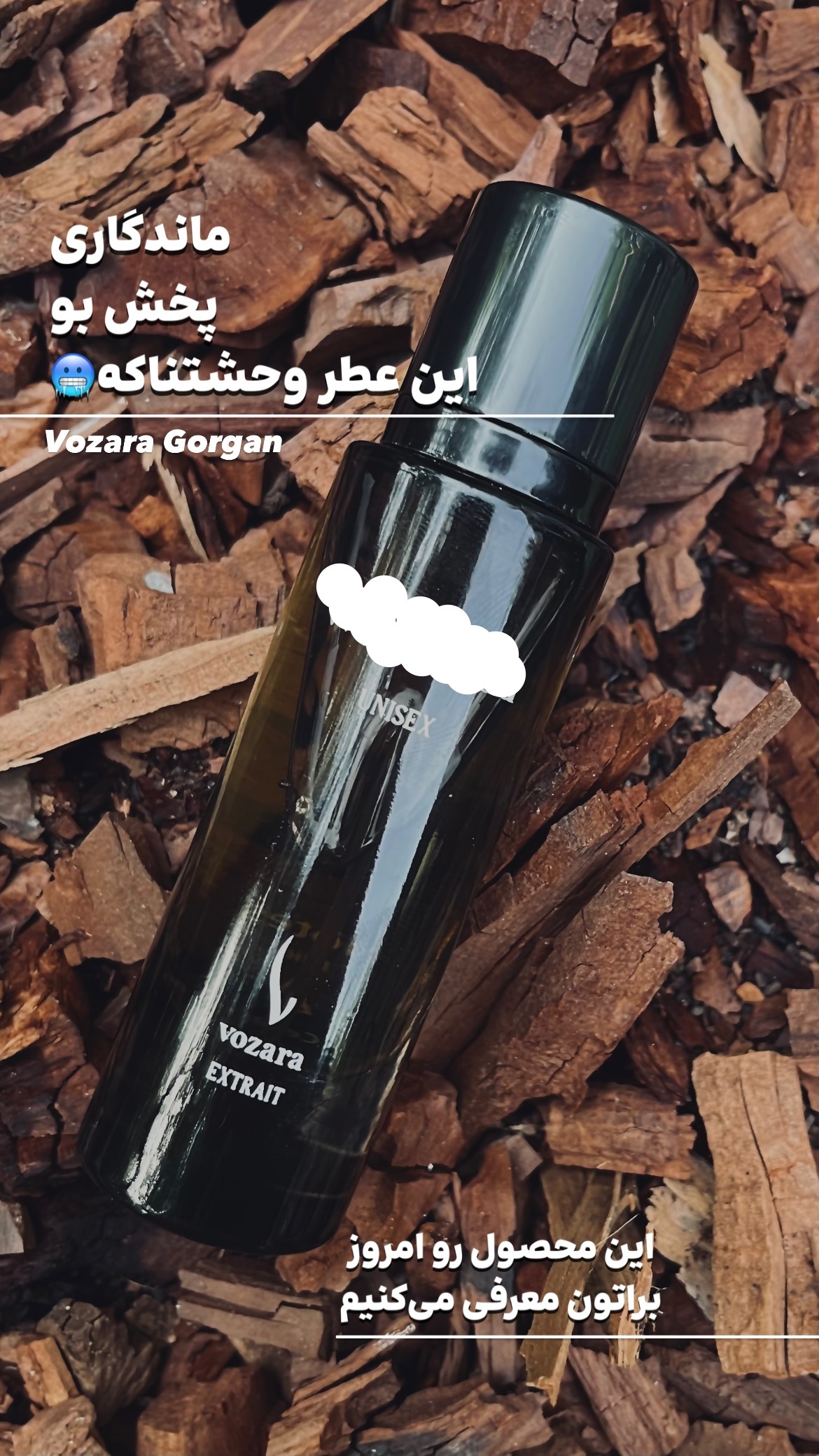 استوری هایلایت عطر اختصاصی