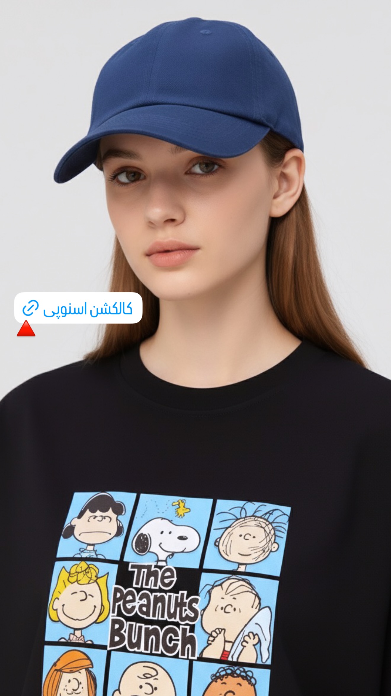 استوری هایلایت اسنوپی