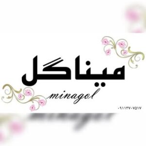 تصویر پروفایل @minagol_set