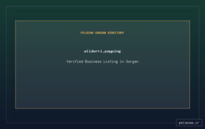alidorri.payping - کسب‌وکار گرگان (پلّازا)