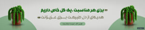 ayrisgreenhouse - کسب‌وکار گرگان (پلّازا)