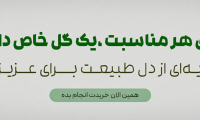 ayrisgreenhouse - کسب‌وکار گرگان (پلّازا)