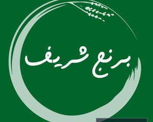 berenjsharif.ir - کسب‌وکار گرگان (پلّازا)