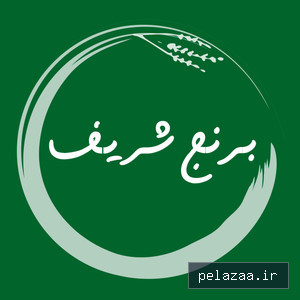 berenjsharif.ir - کسب‌وکار گرگان (پلّازا)