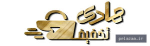haditakhfif - کسب‌وکار گرگان (پلّازا)