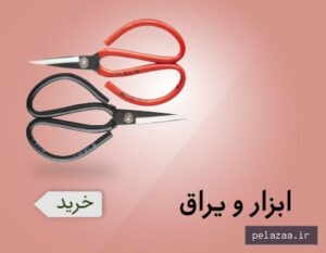 nakhbaazaar - کسب‌وکار گرگان (پلّازا)