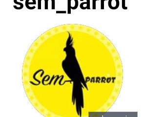 partalaee - کسب‌وکار گرگان (پلّازا)