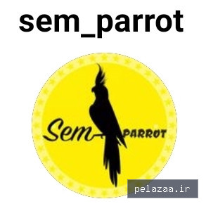 partalaee - کسب‌وکار گرگان (پلّازا)