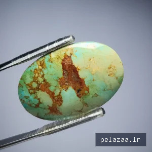 نگین فیروزه شجر سبز طبیعی نیشابوری - javaherihirkan گرگان