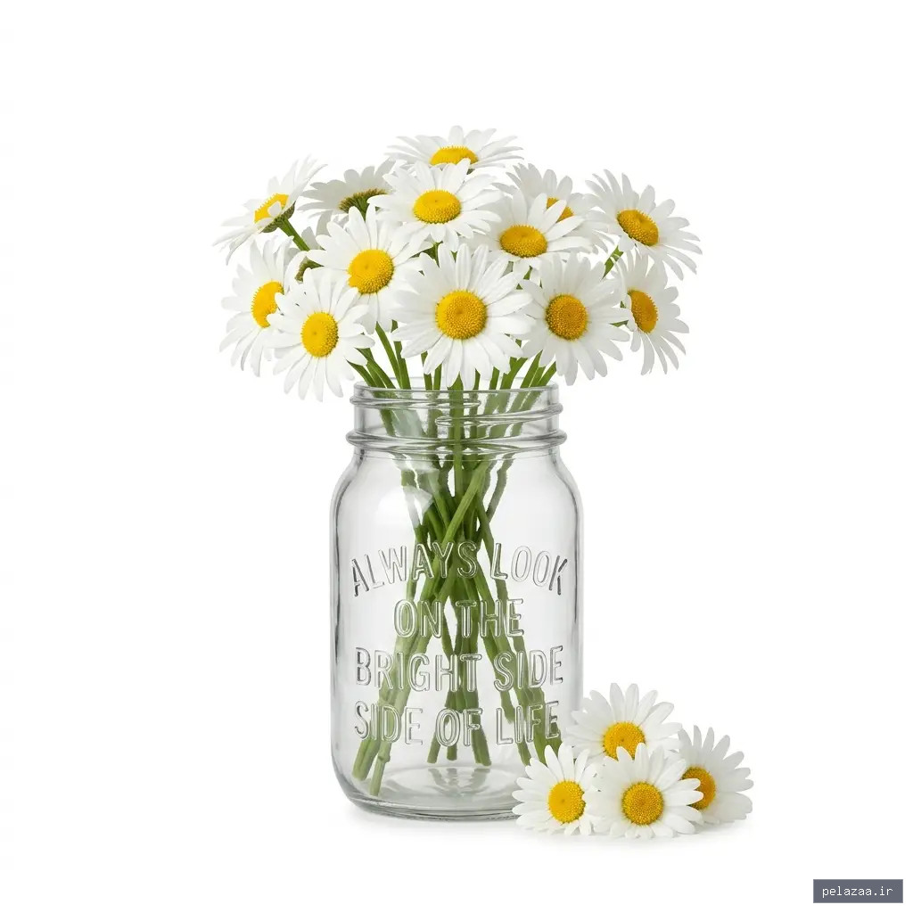 خرید و قیمت دکوری از homechidshop دکوری - homechidshop گرگان