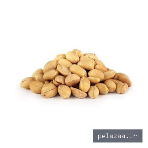 خرید و قیمت بادام زمینی مخصوص کره گیری از nuzhapeanut بادام زمینی مخصوص کره گیری - nuzhapeanut گرگان