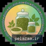 خرید و قیمت گیاهان دارویی 150x150 از golavan گیاهان دارویی 150x150 - golavan گرگان