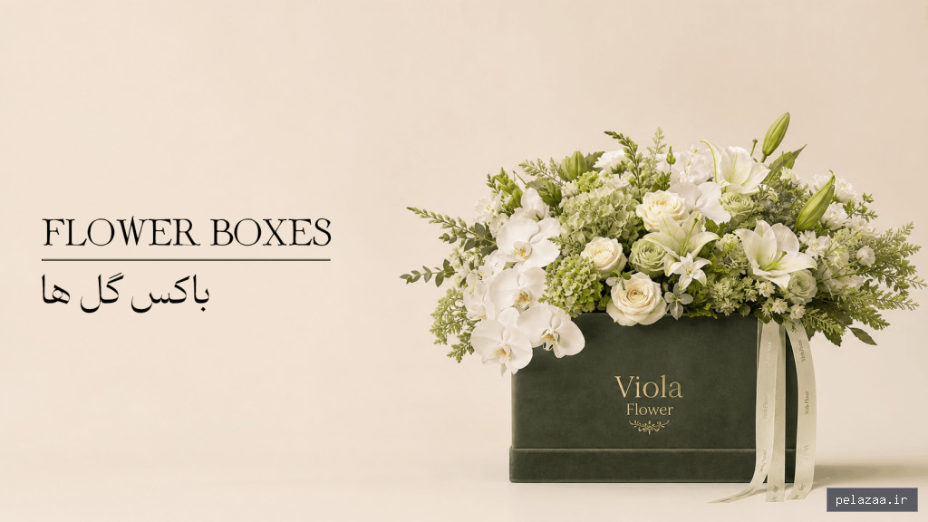 خرید و قیمت FLOWER BOXES 1024x576 از violaflower FLOWER BOXES 1024x576 - violaflower گرگان