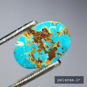 نگین فیروزه شجر رگه طلایی زیبای نیشابوری - javaherihirkan گرگان
