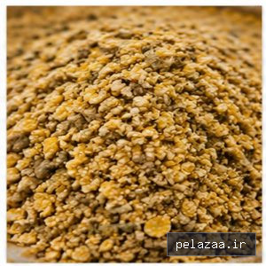 خوراک گاو پرواری - farsiannahade گرگان