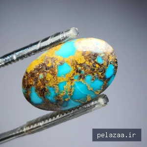 فیروزه شجر - javaherihirkan گرگان
