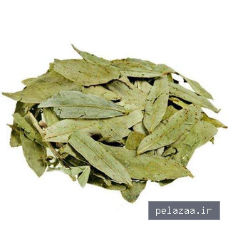 خرید و قیمت سنا مکی و گل محمدی از tayebat-bahar سنا مکی و گل محمدی - tayebat-bahar گرگان