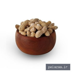 خرید و قیمت بادام زمینی با پوست شور از nuzhapeanut بادام زمینی با پوست شور - nuzhapeanut گرگان