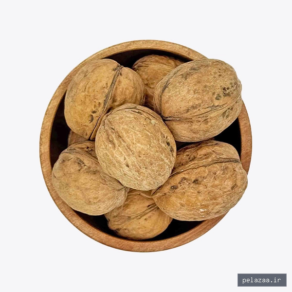 گردو با پوست خارجی - davrizh گرگان