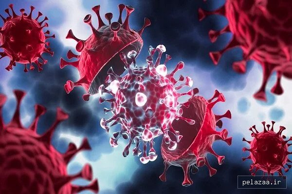آخرین وضعیت هانتاویروس در ایران - seramdental گرگان