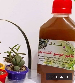 خرید و قیمت شامپو خوشبو کننده بدن از tayebat-bahar شامپو خوشبو کننده بدن - tayebat-bahar گرگان