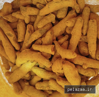 خرید و قیمت زردچوبه ویژه هندی از yaknature زردچوبه ویژه هندی - yaknature گرگان