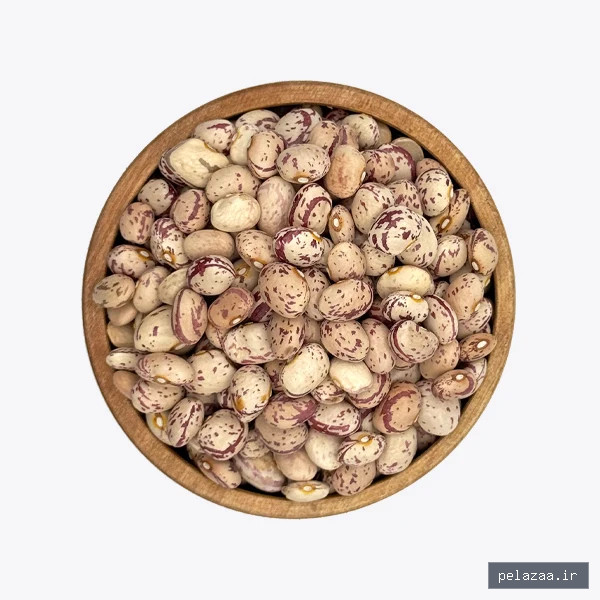 لوبیا چیتی - davrizh گرگان