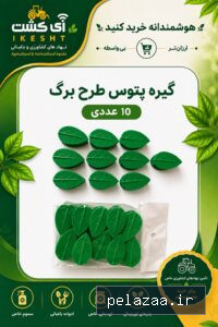 خرید و قیمت گیره پتوس طرح برگ 10 عددی مواد درجه یک گلینا از ikesht گیره پتوس طرح برگ 10 عددی مواد درجه یک گلینا - ikesht گرگان