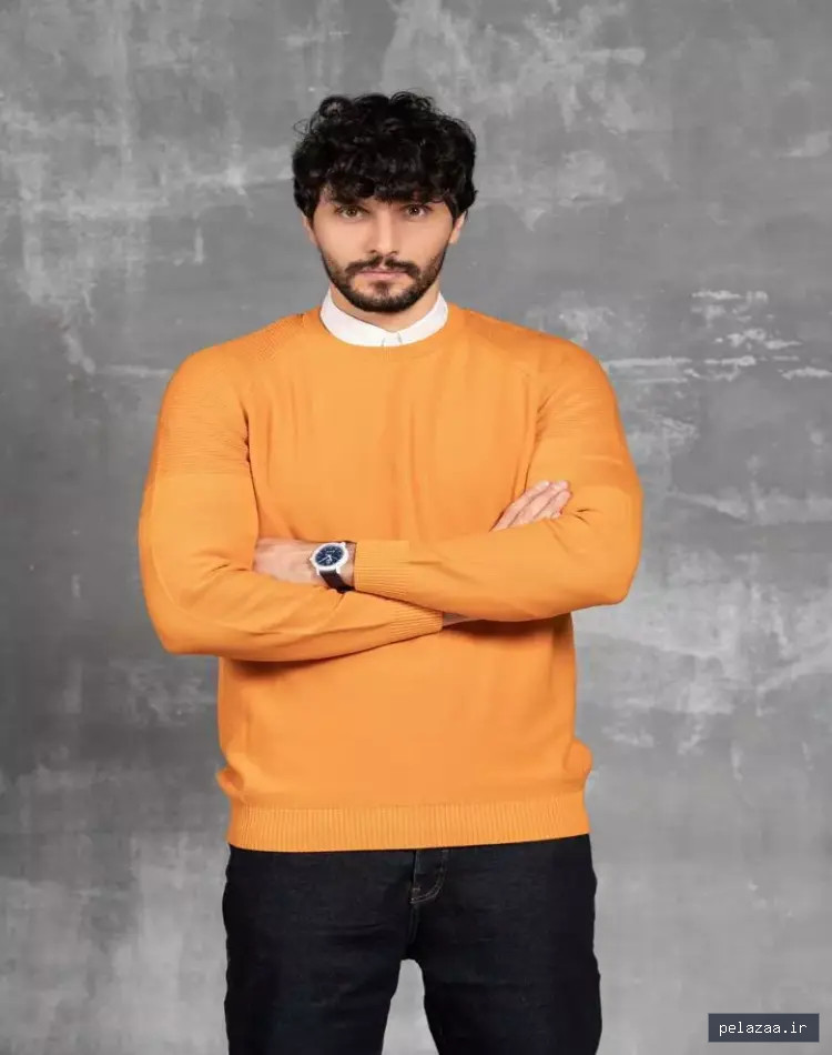 پلیور یقه گرد مردونه - felamino گرگان