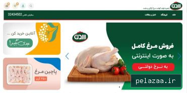 نمونه فروشگاه سدن شاپ - hoster گرگان