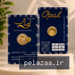نیم سکه - parsianopal گرگان