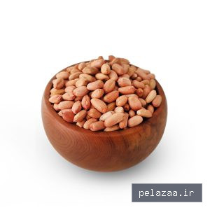خرید و قیمت مغز بادام زمینی خام از nuzhapeanut مغز بادام زمینی خام - nuzhapeanut گرگان