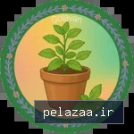 خرید و قیمت گلدان گیاهان دارویی 150x150 از golavan گلدان گیاهان دارویی 150x150 - golavan گرگان