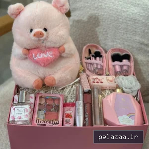پک هدیه خوک صورتی کد20 - idashopp گرگان