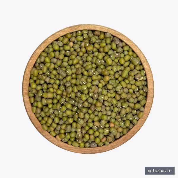 ماش - davrizh گرگان