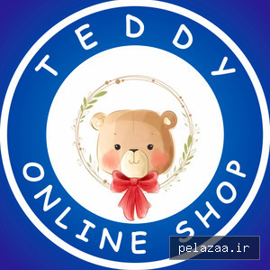 teddyonlineshop - کسب‌وکار گرگان (پلّازا)