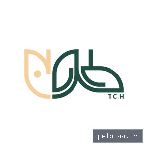 tooba-wood - کسب‌وکار گرگان (پلّازا)