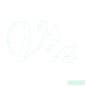 vieproduct - کسب‌وکار گرگان (پلّازا)
